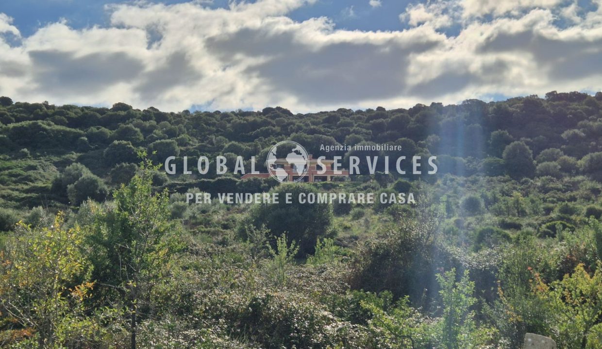 WhatsApp Image 2025-12-11 at 12.18.28