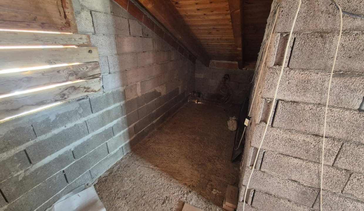 WhatsApp Image 2-01-17 at 10.51.19