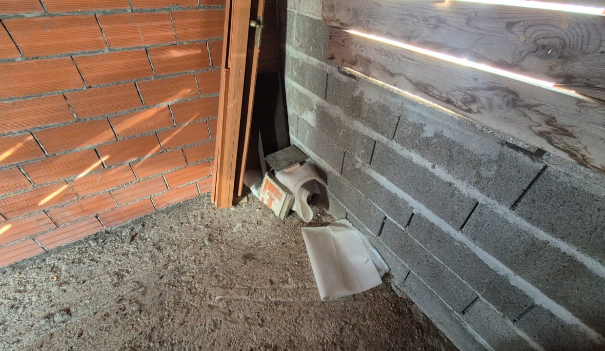 WhatsApp Image 2026-01-17 at 10.51.19