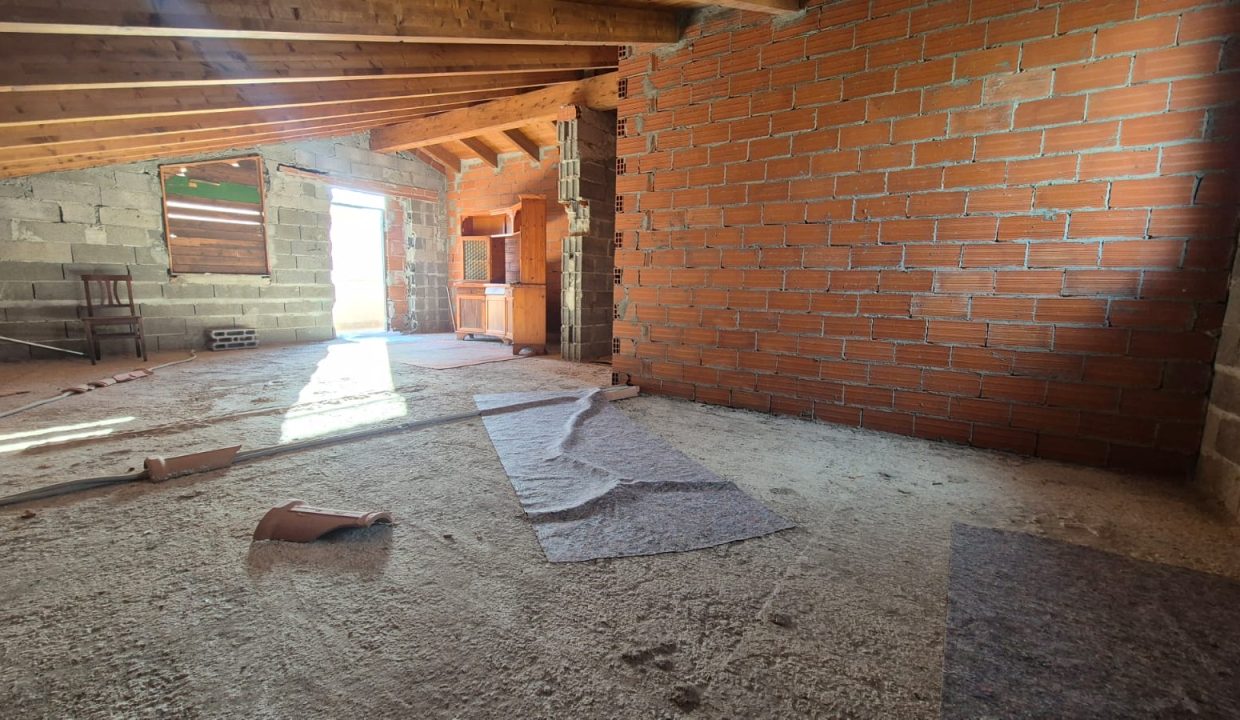 WhatsApp Image 2026-01-17 at 10.51.2