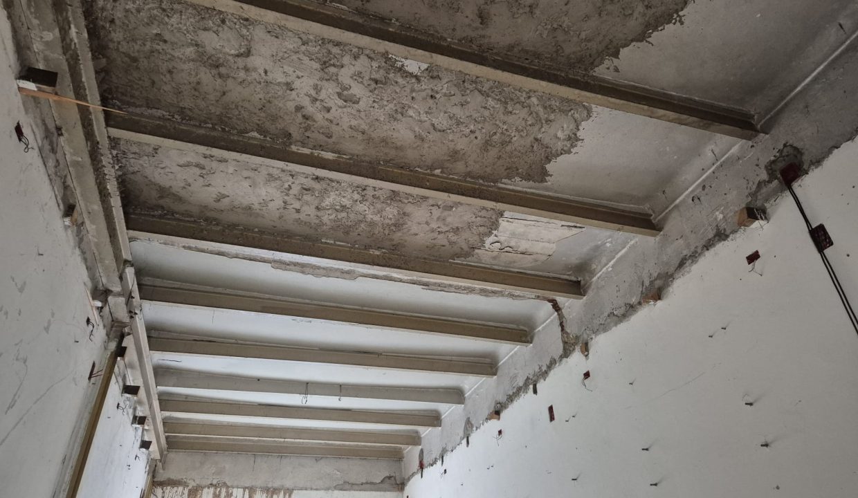 WhatsApp Image 2026-02-17 at 10.15.