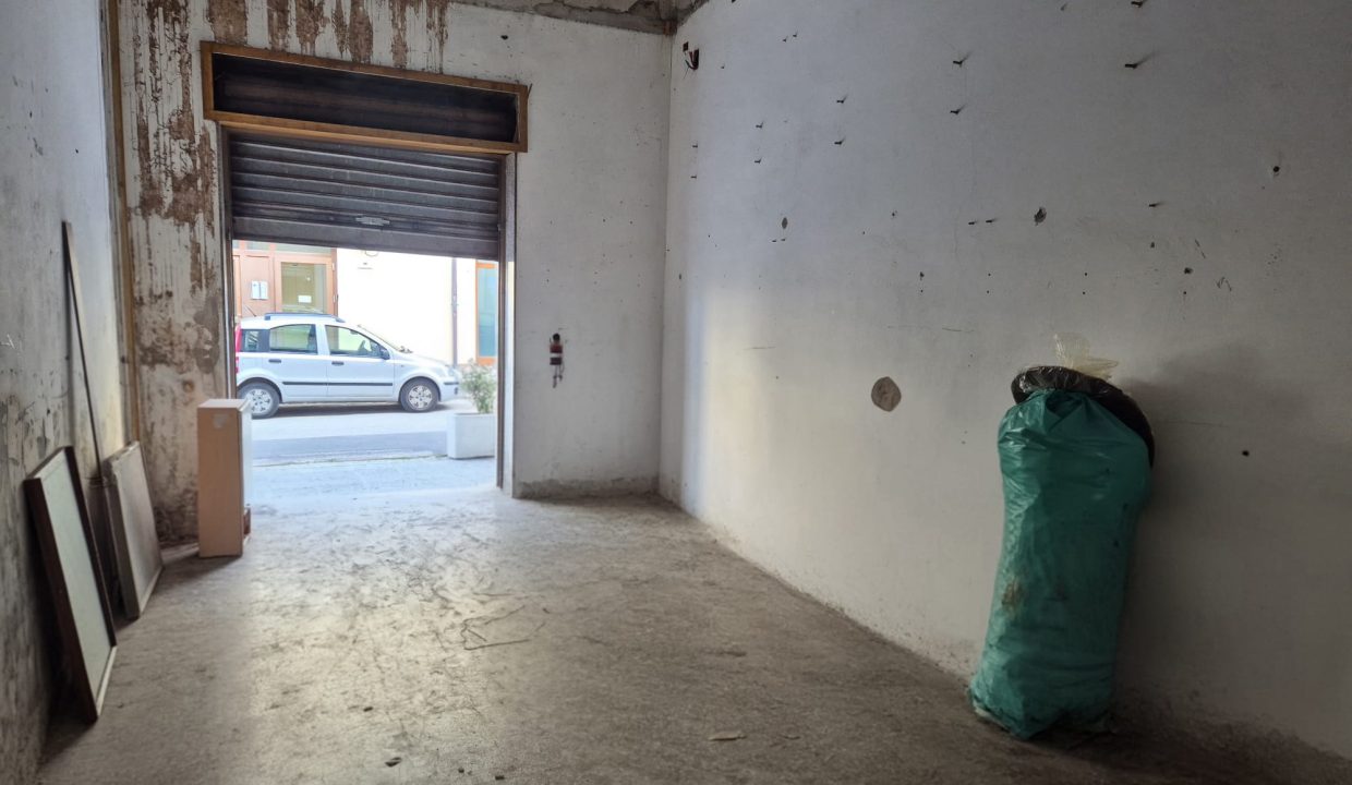 WhatsApp Image 2026-2-17 at 10.15.48