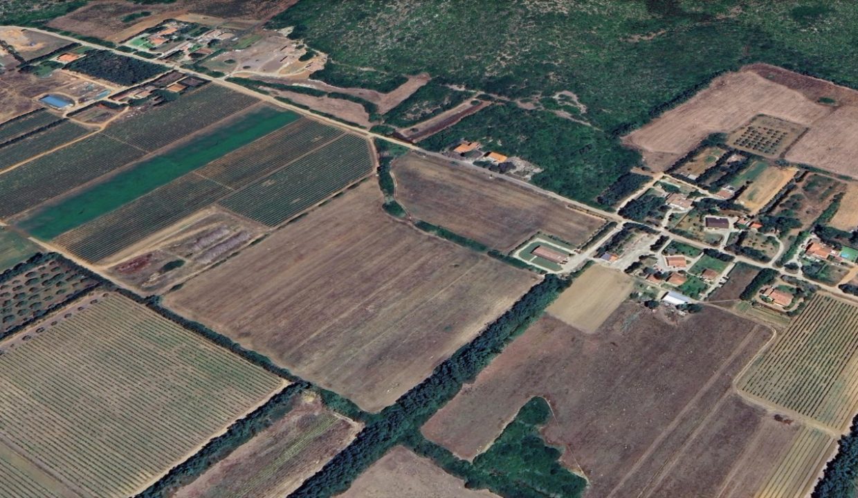 Immagine 2026-03-27 105545