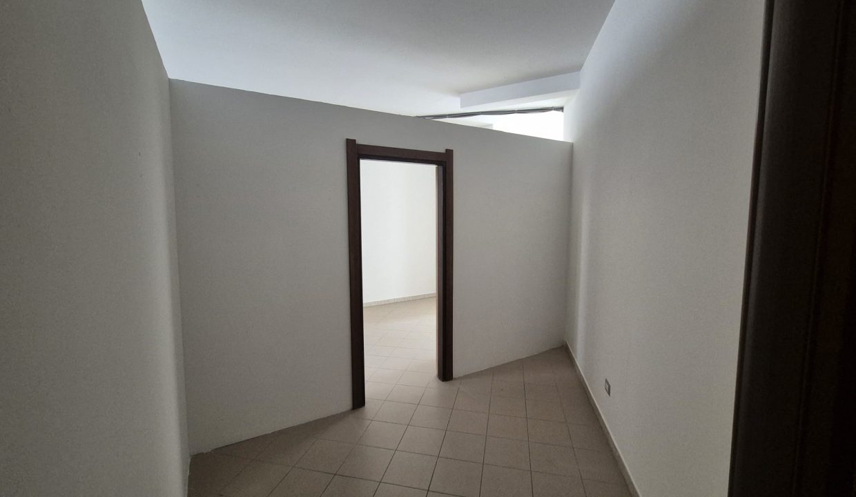 WhatsApp Imae 2026-03-03 at 11.49.42