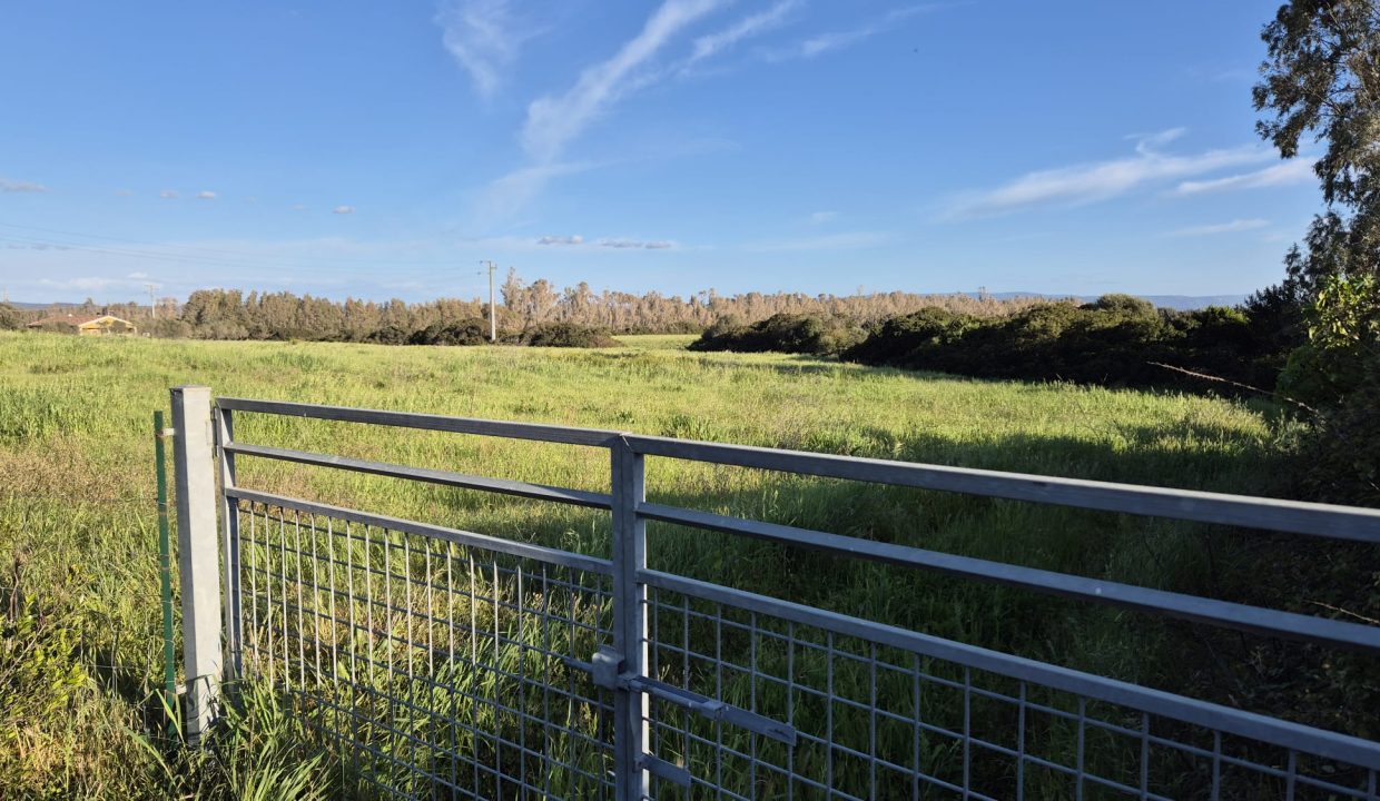 WhatsApp Image 026-03-27 at 17.27.47