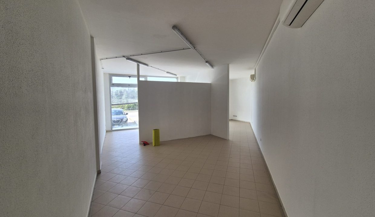 WhatsApp Image 2003-03 at 11.49.41