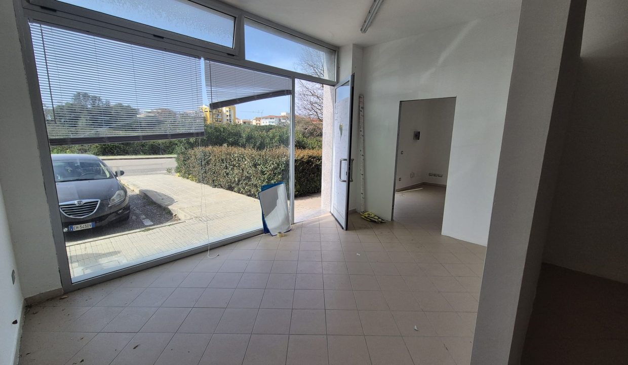 WhatsApp Image 2023-03 at 11.49.42