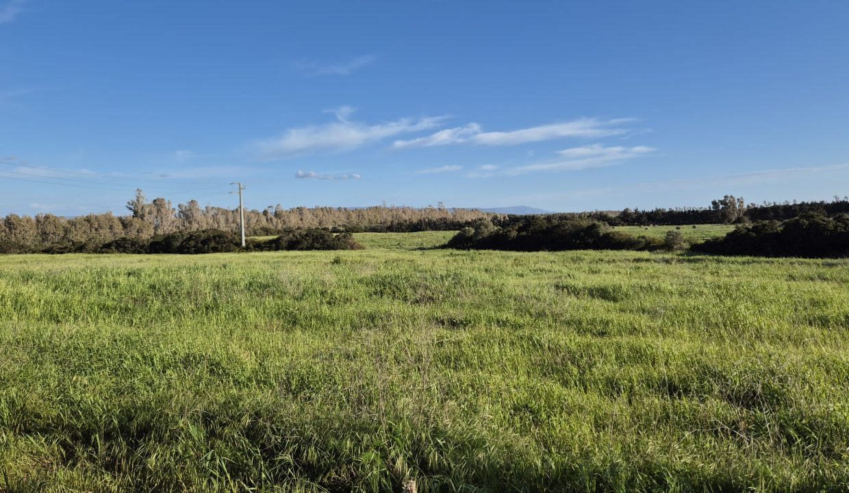 WhatsApp Image 2026-0-27 at 17.27.46