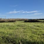 Terreno Agricolo a Santa Maria La Palma