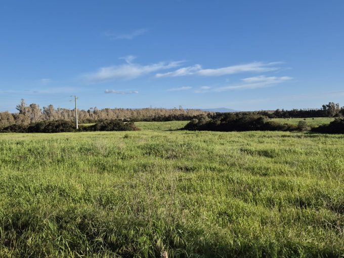 Terreno Agricolo a Santa Maria La Palma