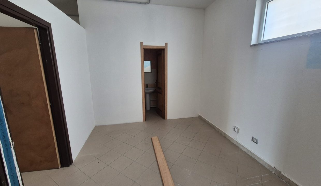 WhatsApp Image 2026-03-03 11.49.43