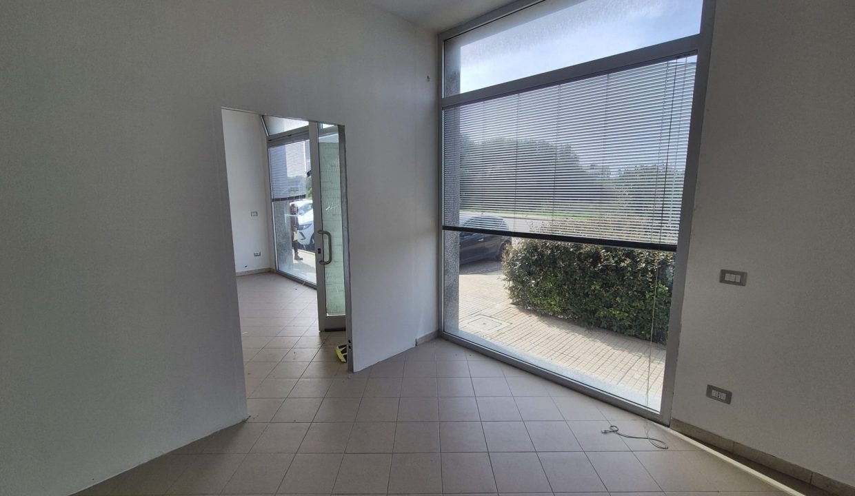 WhatsApp Image 2026-03-03 at 1.49.41