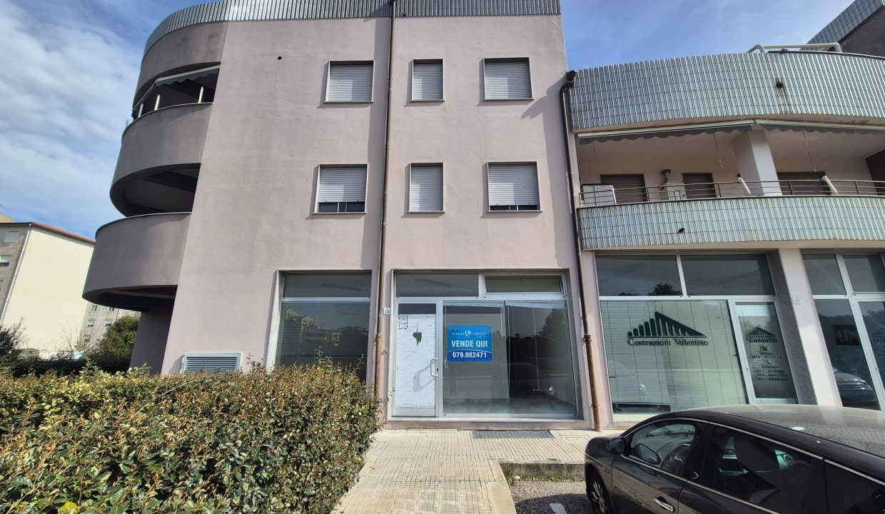 WhatsApp Image 2026-03-03 at 11.49.40