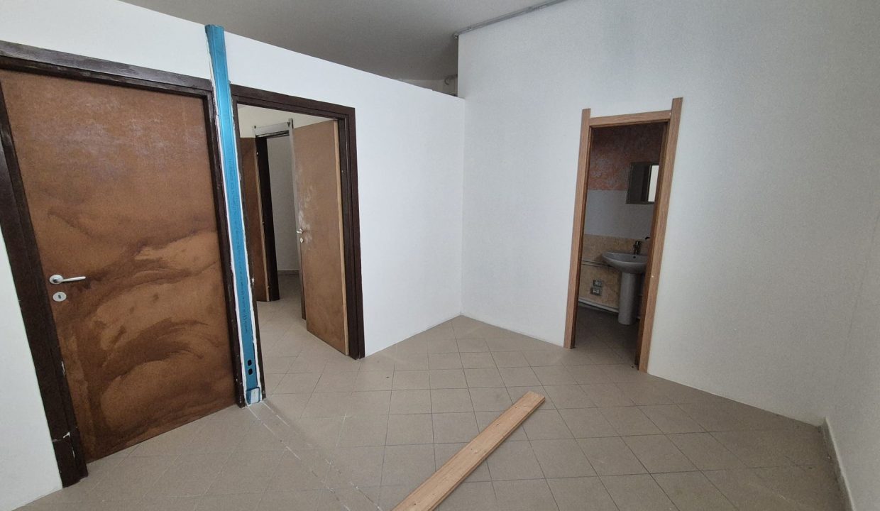 WhatsApp Image 2026-03-03 at 11.49.43