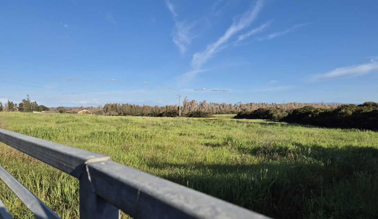 WhatsApp Image 2026-03-27 at 17.27.43