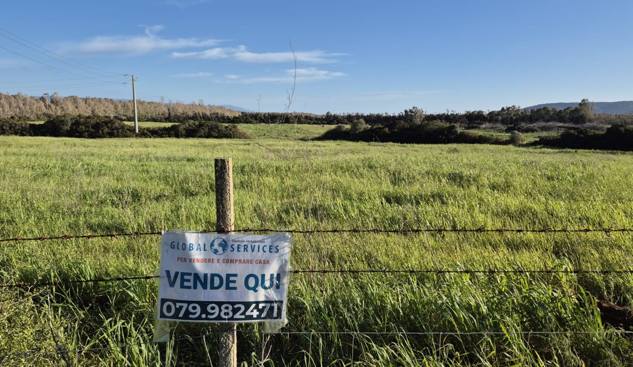 WhatsApp Image 2026-03-27 at 17.27.46