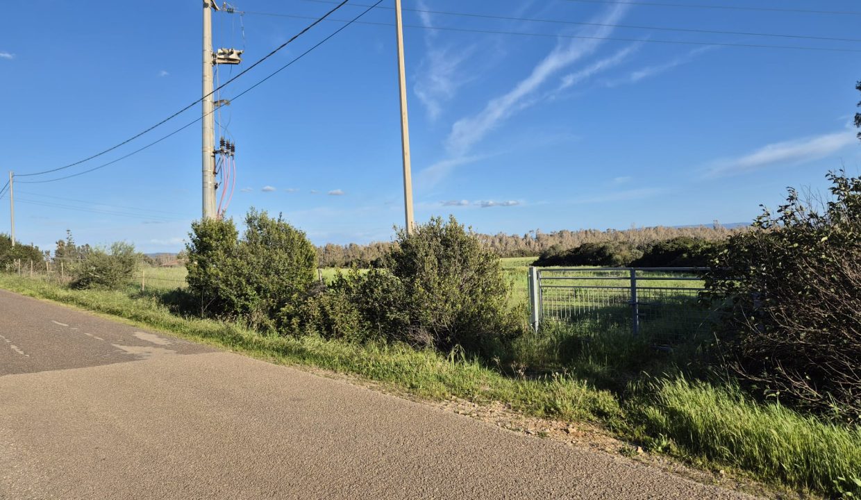 WhatsApp Image 2026-03-27 at7.27.43