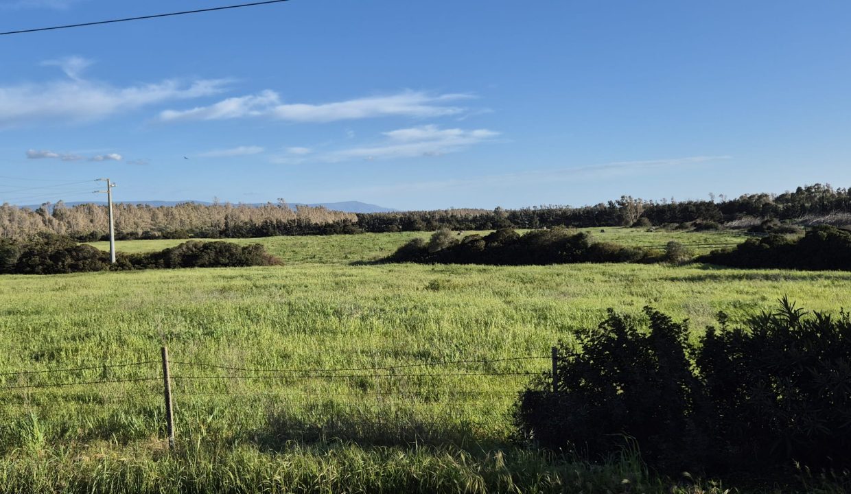 WhatsApp Image 2026-03-27t 17.27.47