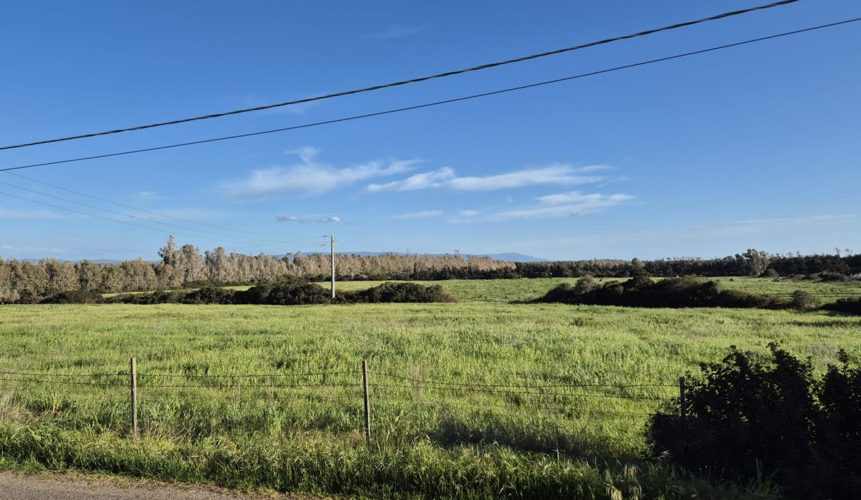 WhatsApp Image 2026-03- at 17.27.43