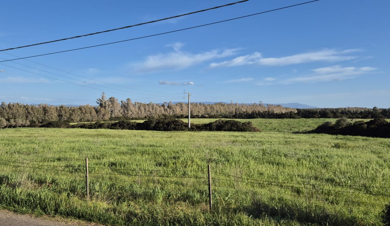 WhatsApp Image 226-03-27 at 17.27.43