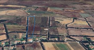 Terreno Agricolo Pianeggiante Bachileddu- Monte Pedrosu