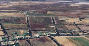 Terreno Agricolo Pianeggiante Bachileddu- Monte Pedrosu