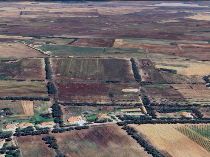 Terreno Agricolo Pianeggiante Bachileddu- Monte Pedrosu