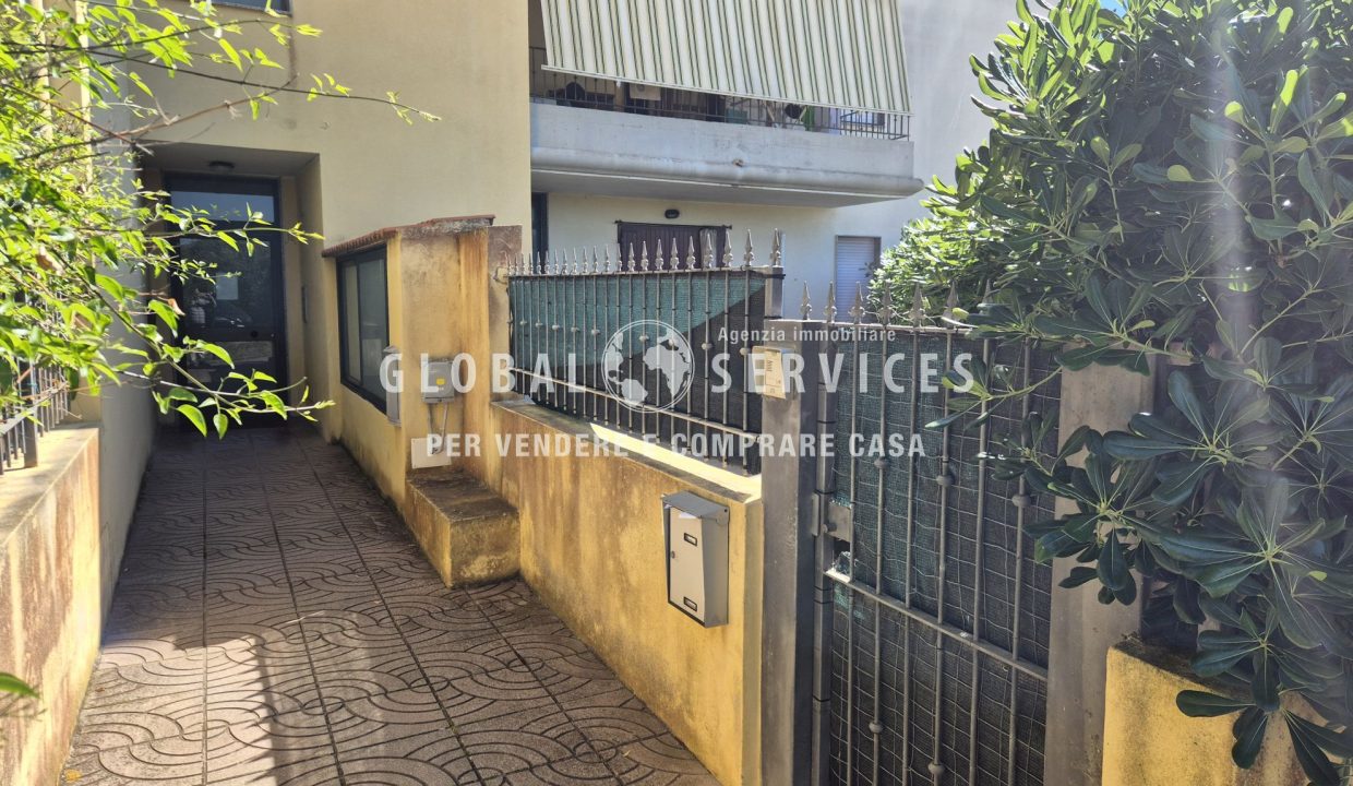 20 (2)