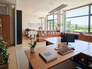Ampio locale luminoso e versatile