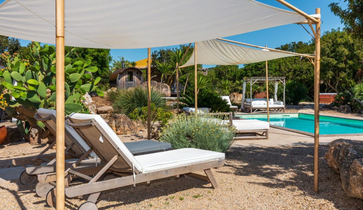 _54A6824