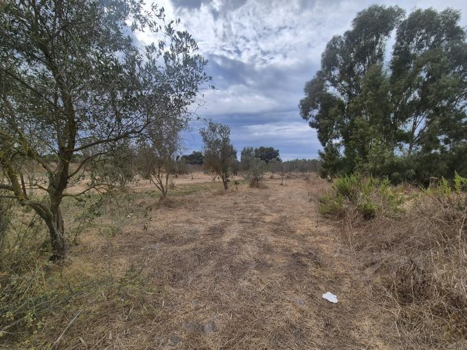 Terreno di 7000 mq zona La Rucchetta